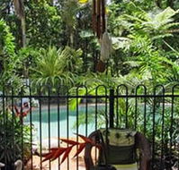 Daintree Rainforest Retreat Motel - Holiday Adelaide