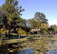 Twin Lakes Hotel - Holiday Adelaide