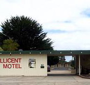 Millicent Motel - Holiday Adelaide