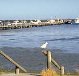 Seaview Motel and Holiday Units - Holiday Adelaide