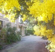 Surfcoast Retreat - Holiday Adelaide