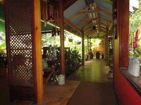 Daintree Rainforest Retreat Motel - Holiday Adelaide 2