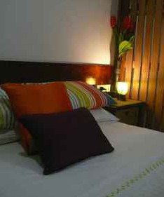 Daintree Rainforest Retreat Motel - Holiday Adelaide 3