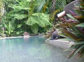 Daintree Rainforest Retreat Motel - Holiday Adelaide 5