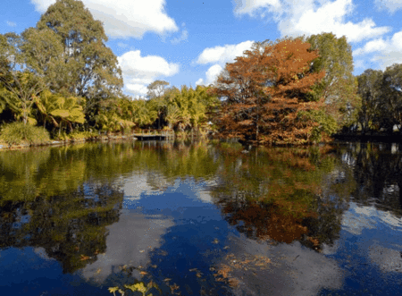 BIG4 Maroochy Palms Holiday Village - Holiday Adelaide 2