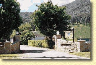 Willow Dene - Holiday Adelaide 1