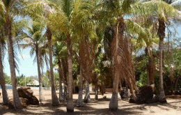 King Sound Resort Hotel - Holiday Adelaide