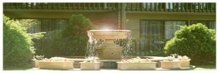 Best Western Tall Trees Motel - Holiday Adelaide 2