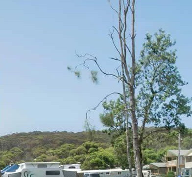 Merry Beach Caravan Park - Holiday Adelaide 2