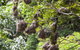 Lake Placid Tourist Park - thumb 4