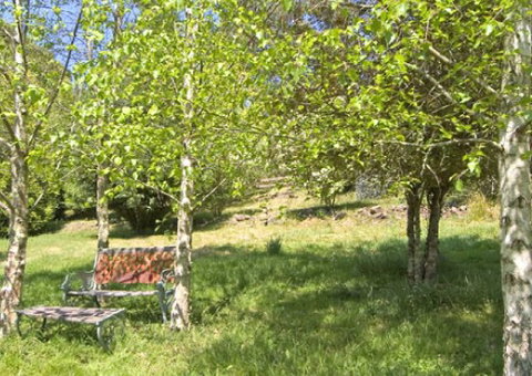 Tomah Mountain Lodge - Holiday Adelaide 2