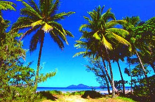 Mission Beach Rainforest Motel - Holiday Adelaide 1