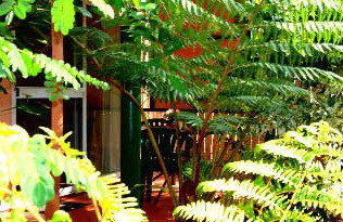 Mission Beach Rainforest Motel - Holiday Adelaide 3
