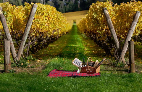 Lindenderry At Red Hill - Holiday Adelaide 5