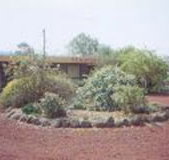 Beaufort Motel - Holiday Adelaide