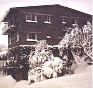 Elk at Falls - Holiday Adelaide