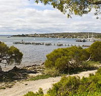Seagulls Wrest Point - Holiday Adelaide