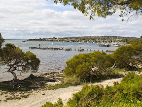 Seagulls Wrest Point - Holiday Adelaide 0
