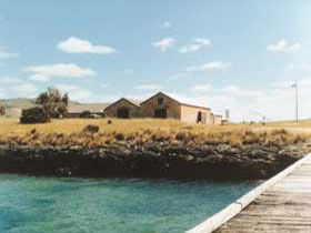 Mt Dutton Bay Woolshed Hostel - Holiday Adelaide 0