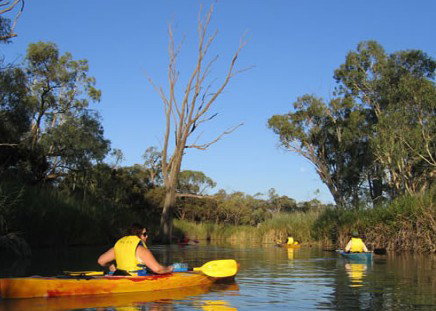 Pike River Woolshed - Holiday Adelaide 3