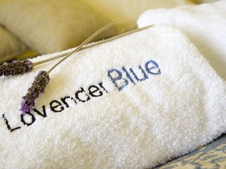 Lavender Blue Country Apartments - Holiday Adelaide 3