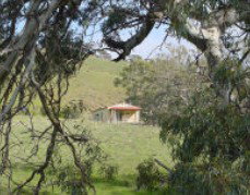Saunders Gorge Sanctuary - Hideaway Cottage - Holiday Adelaide 1