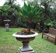 Bangalow Retreat - Holiday Adelaide