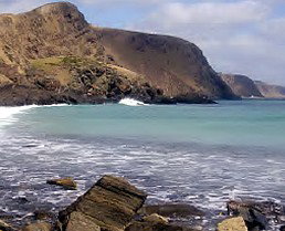 Periwinkles At Second Valley - Holiday Adelaide 1