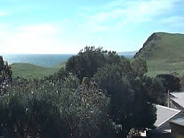 Periwinkles At Second Valley - Holiday Adelaide 2