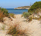 Marion Bay Caravan Park - Holiday Adelaide 5