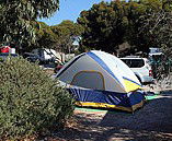 Marion Bay Caravan Park - Holiday Adelaide 6