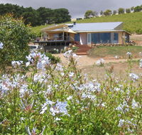 The Blue Grape Vineyard Accommodation - Holiday Adelaide