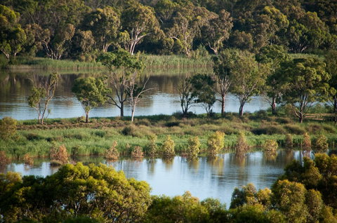 Riverview Rise Retreats - Holiday Adelaide 4