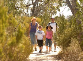 Long Island Caravan Park Cabins - Holiday Adelaide 0