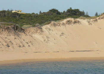 Ark Bed And Breakfast - Holiday Adelaide 1