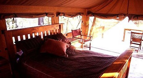 Jabiru Safari Lodge At Mareeba Wetlands - Holiday Adelaide 1