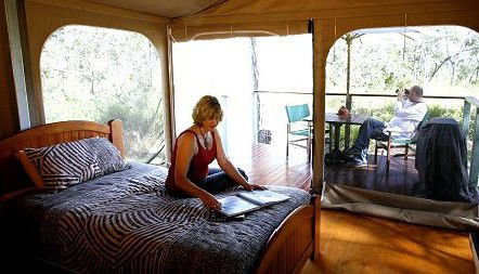 Jabiru Safari Lodge At Mareeba Wetlands - Holiday Adelaide 2