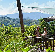 Rose Gums Wilderness Retreat - Holiday Adelaide