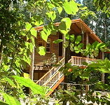 Rivers Edge Rainforest Retreat - Holiday Adelaide