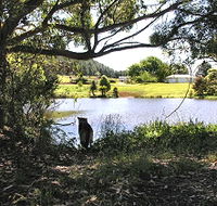 Newry Park Cottage - Holiday Adelaide