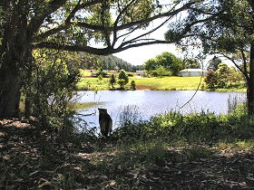 Newry Park Cottage - Holiday Adelaide 0