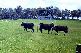 Cluan Homestead - The Managers Residence - Holiday Adelaide 0