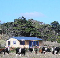 Marrawah Beach House - Holiday Adelaide