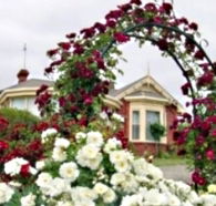 Golden Embers Apartments and B and B - Holiday Adelaide