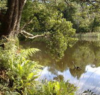 Weldborough Camping Ground - Holiday Adelaide