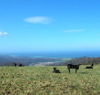 St Marys Seaview Farm - Holiday Adelaide