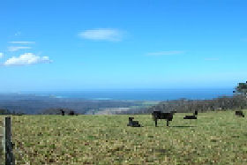 St Marys Seaview Farm - Holiday Adelaide 0