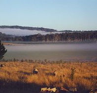 Fonthill - Holiday Adelaide