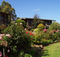 Mole Creek Holiday Village - Holiday Adelaide