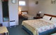 Wintersun Gardens Motel - thumb 4